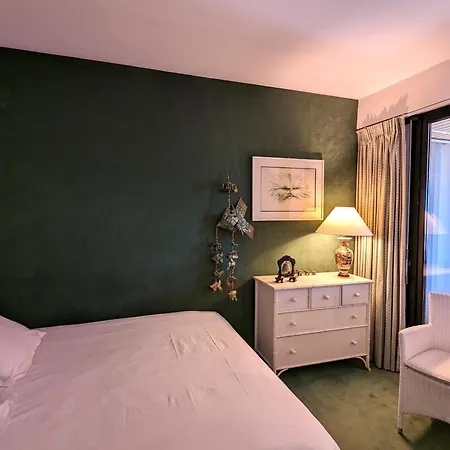 Apartment Grand Avec Terrasse, Clim, Wifi Et Parking A - Fr-1-420-144